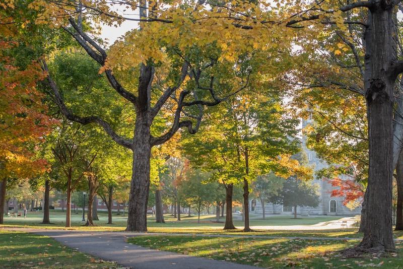 Campus scenic